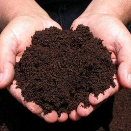 Soil & Fertilizer