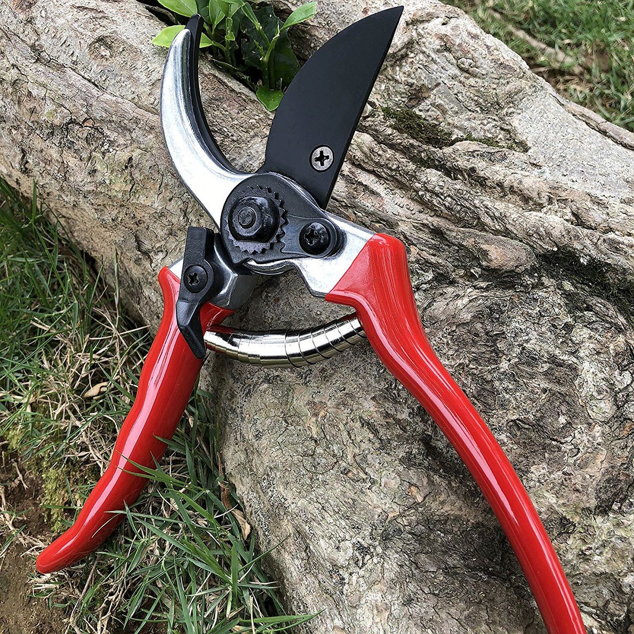 Gardening Scissors (ডাল ছাঁটার কাঁচি) thumbnail 2