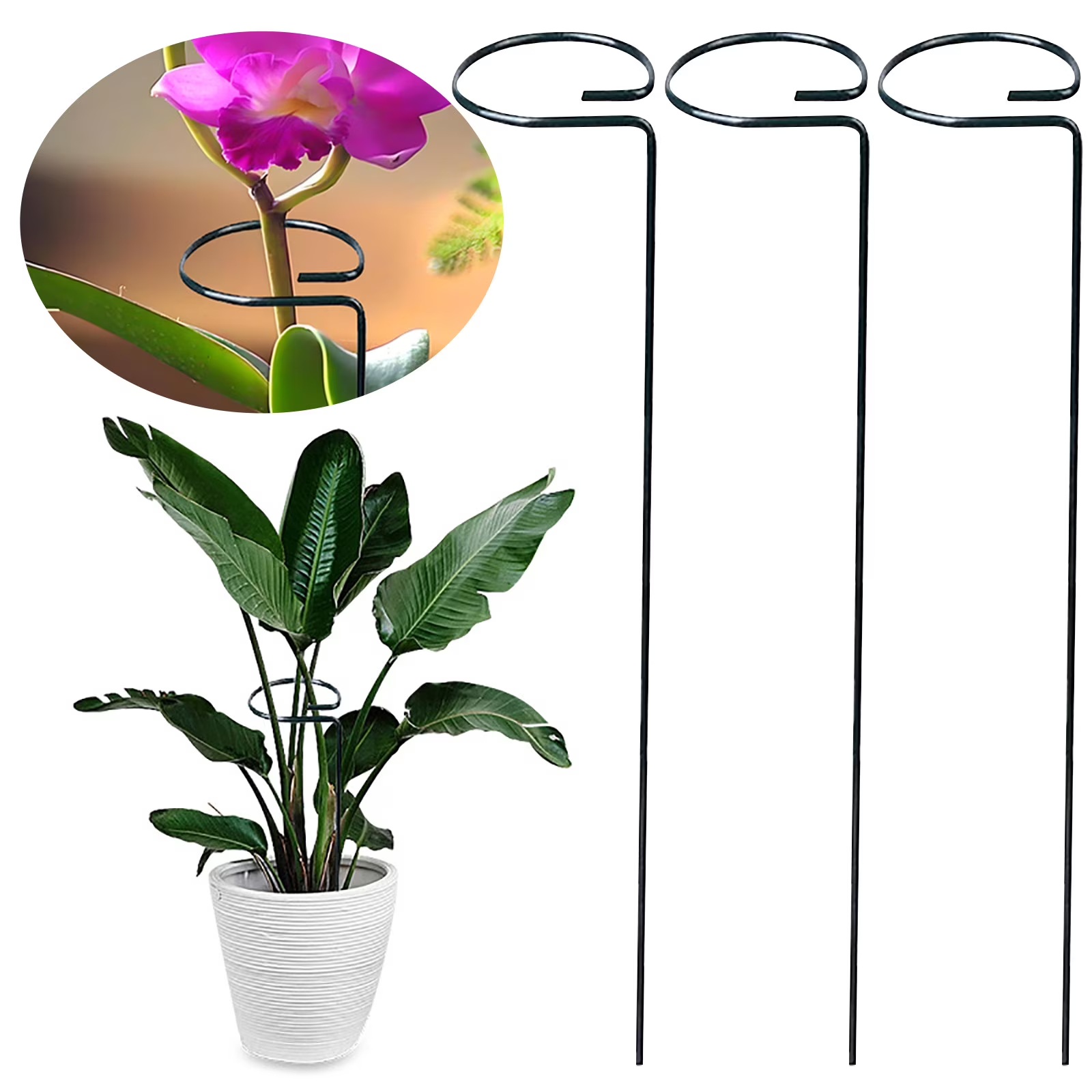 Plant Support Stick (গাছের সহায়ক কাঠি) - 3 Pcs