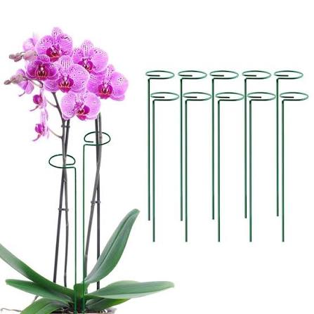 Plant Support Stick (গাছের সহায়ক কাঠি) - 3 Pcs thumbnail 2