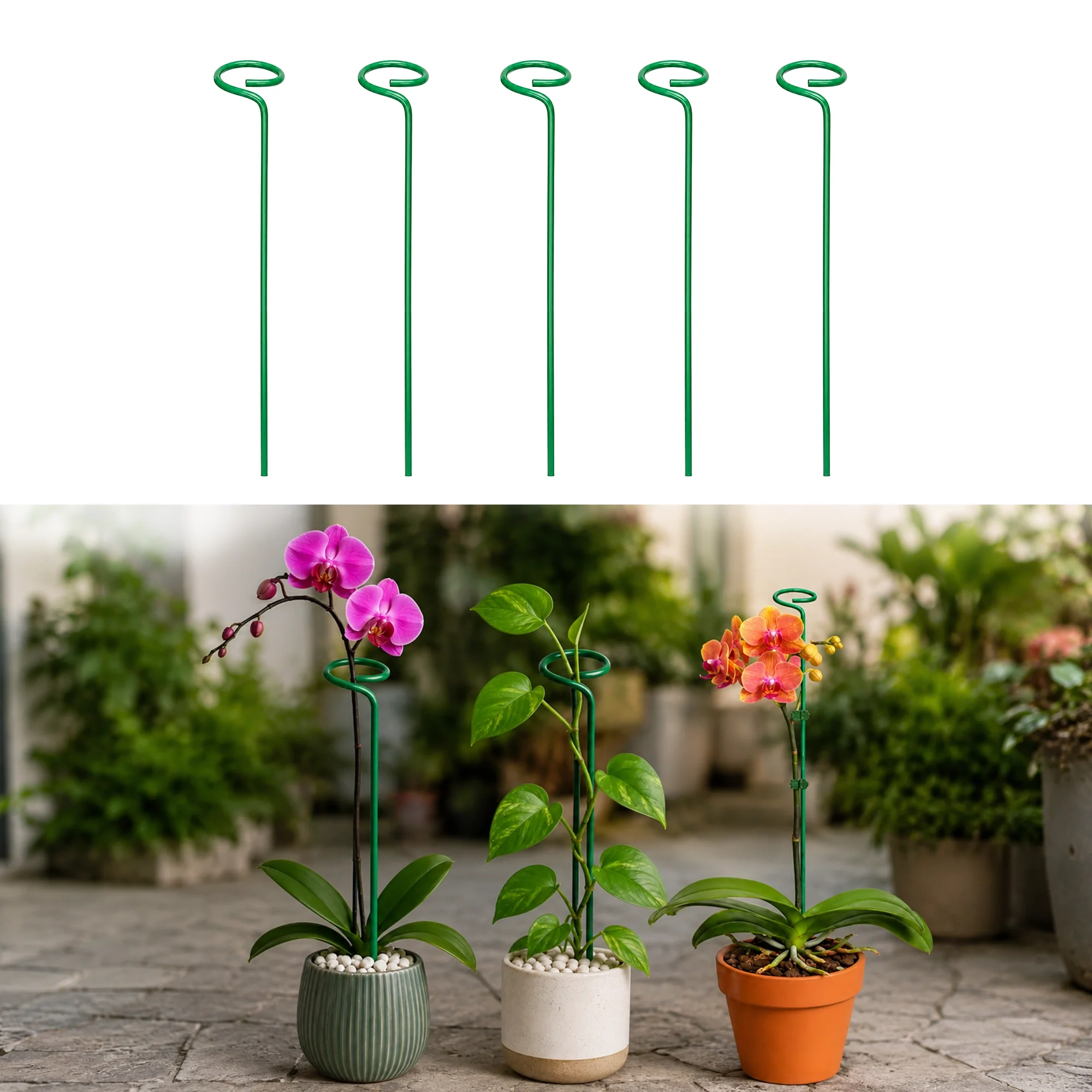 Plant Support Stick (গাছের সহায়ক কাঠি) - 3 Pcs thumbnail 3
