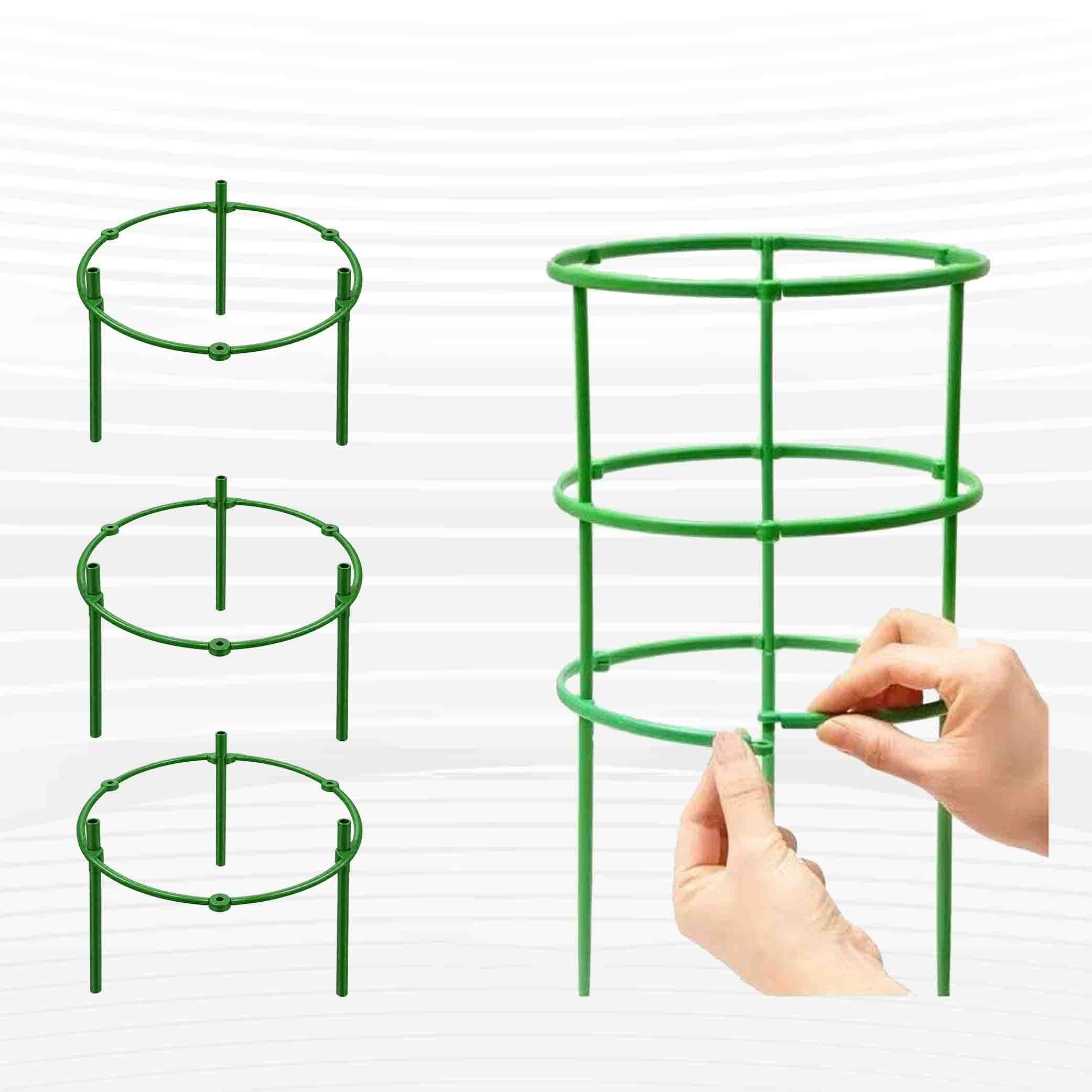 Plant Support Stick (রাউন্ড সাপোর্ট স্টিক) 3 Pcs Set thumbnail 2