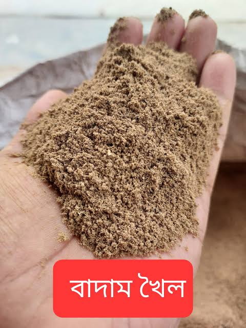 Peanut Powder Fertilizer ( বাদাম খৈল ) - 500gm thumbnail 2