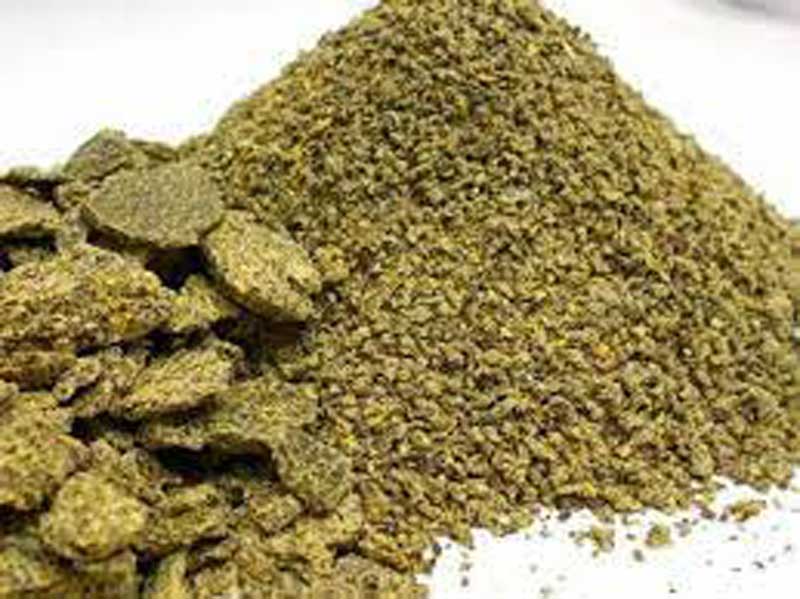 Mustard Cake Powder ( সরিষার খৈল গুড়া ) - 1Kg thumbnail 3